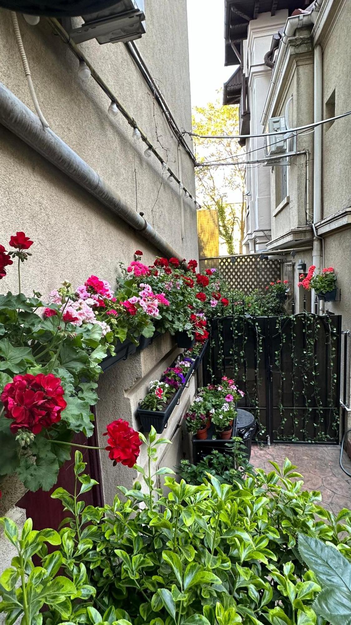 Casa De Povesti - Calea Victoriei Apartment บูคาเรสต์ ภายนอก รูปภาพ